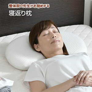 ̎t߂ QԂ薍 30×50cm  ᔽE^tH[ т΍ ̈U  QԂX[Y tBbg  Q Jo[􂦂