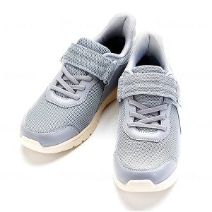 X|[c V[Y V[Y CtXebv Y j fB[X  ^C  y C R L  iDǂ EFt@ fڏi   ی q  ܎t 