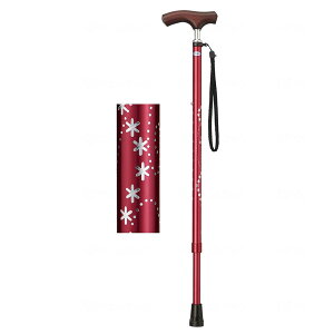  LEPC  y  j z_[  T|[g  ×p p ]|h~  オ ⏕  \h EFt@ fڏi sp