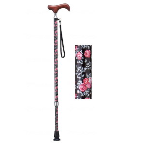  EV[Y Lk y  j z_[  T|[g  ×p p ]|h~  オ ⏕  \h EFt@ fڏi sp