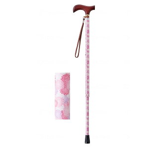  CtXebL  Lk^ iX^Cvj Lk y  j z_[  T|[g  ×p p ]|h~  オ ⏕  \h EFt@ fڏ