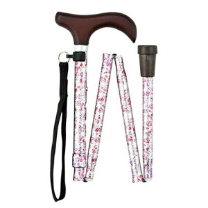 }LebN  XebL ܂肽ݏ [XebL  A~ FS-10 WF