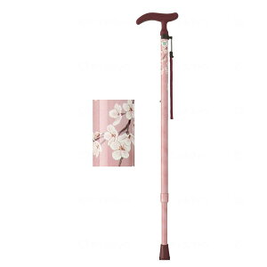  邪t@2 ܏ y  j z_[  T|[g  ×p p ]|h~  オ ⏕  \h EFt@ fڏi sp