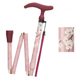  ANeBu O[X ܂S y  j z_[  T|[g  ×p p ]|h~  オ ⏕  \h EFt@ fڏi sp