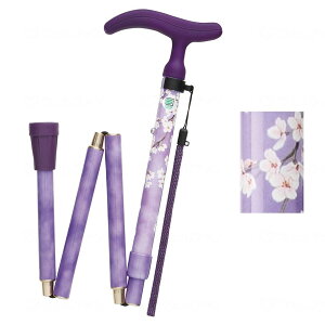  ANeBu O[X ܂S y  j z_[  T|[g  ×p p ]|h~  オ ⏕  \h EFt@ fڏi sp