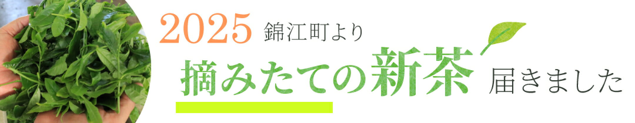 錦江町より摘みたての新茶届きました