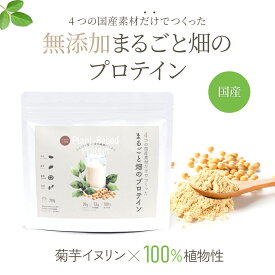 [初回お試し] 国産 無添加 ソイプロテイン 菊芋入り まるごと 畑のプロテイン 250g 大豆 プロテイン 食物繊維 国内製造 人工甘味料不使用 イヌリン パウダー
