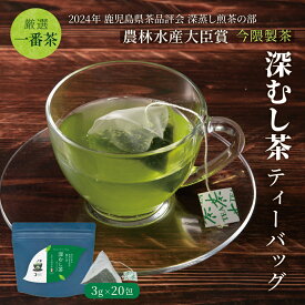 茶師謹製 厳選一番茶 深むし茶 錦江茶 ティーバッグ 20個入り 深蒸し茶 緑茶 鹿児島茶 お茶 ティーパック 送料無料 鹿児島県産 新茶 2025