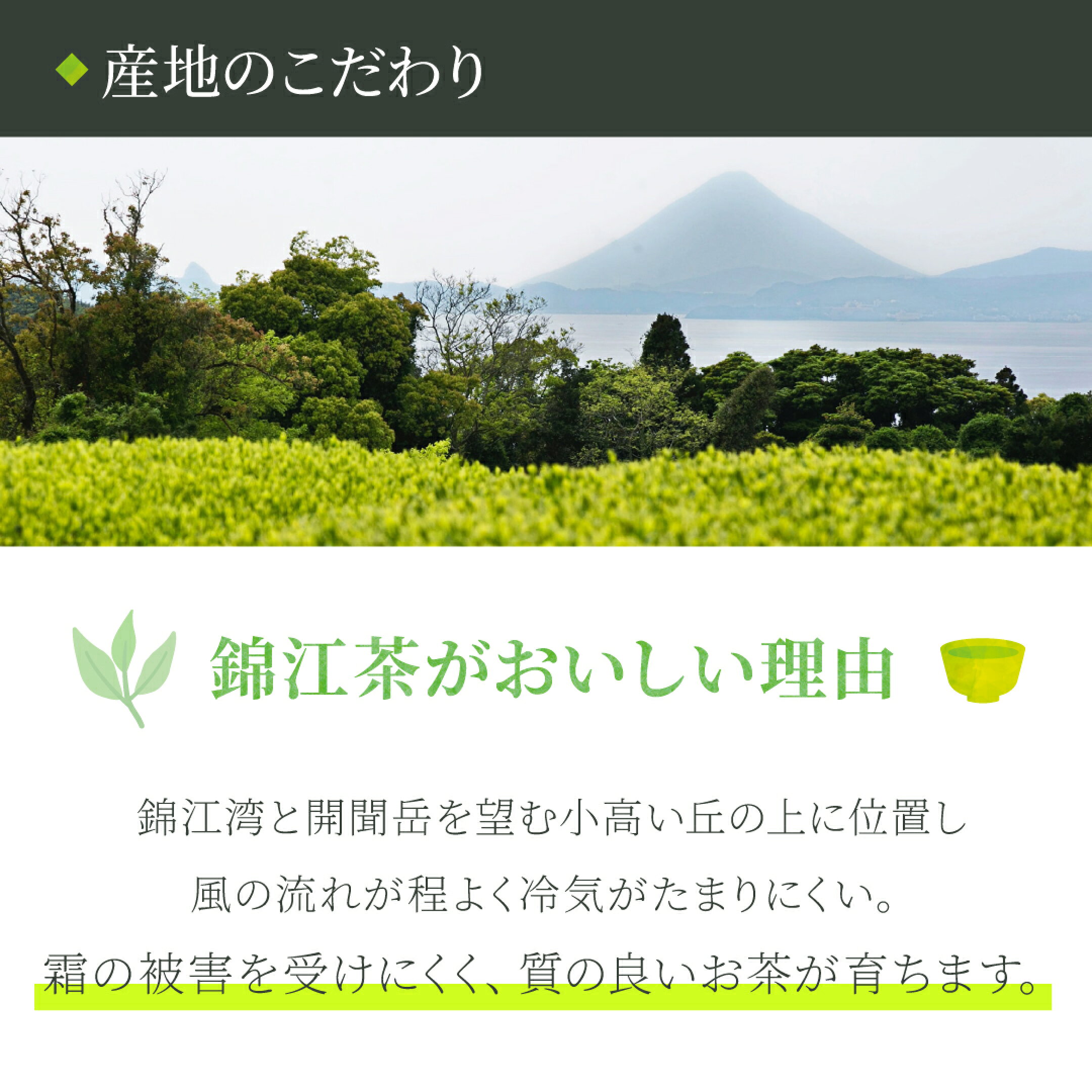 お茶の大敵である霜の被害を受けにくく、質の良いお茶が育ちます。