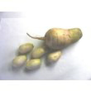 MBh卪i쌧Yj˂ݑ卪p1kgZbg˂ݑ卪̖{ł钷쌧钬̂˂ݑ卪̔Ă܂B