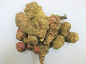 生菊芋　お徳用1kg入り