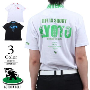 yZ[zKb`St StEFA hC̎qn|Vc 252gg1208 yM/LFYzGOTCHA GOLF StEGA | Yy2025tāzyԌN[|zy[ցz
