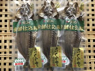 【送料無料】新島くさや 青ムロアジ　真空パック 3枚セット 中干 くさやの干物です ギフト お中元 父の日…