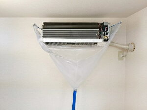 yTjebNFǊ|GARzbp[DXz