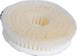 yЃGCF7C` J[ybguV j[j}Vpz