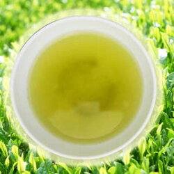 白川茶菊之園美濃白川【正喜撰(竹)】100g袋入メール便対応可能【RCP1209mara】【RCP】