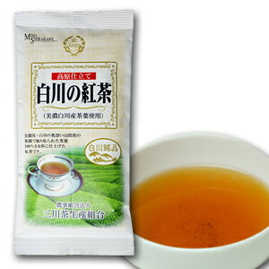 dā@̍g ZY@ag@70gܓt[eB[Ȗ킢䂤pPbgi3ܖjΉ\yRCPzyyVBOXΏۏizyRrjΉiz