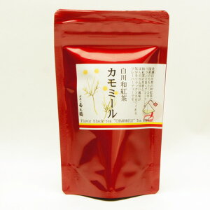 ageB[obOag̃t[o[eB[ق̂ƍ閡킢y@eB[obO^Cv@S5ށ@648~iōjo@o@eB[obO䂤pPbgi5܂܂