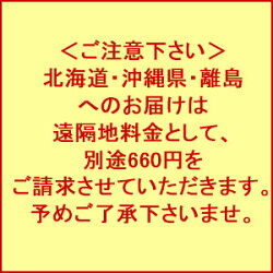 【HARIO】ハリオフィルターインボトルワイン型ボトル白川茶セットお中元耐熱ガラス750ml水出し抽出タイプ税込・送料込3,564円【RCP】