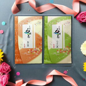 eV̑蕨y쒃zMtg KA-38@eV_100gܓ×1@\100gܓ×1pbP[W{@@Ε@jyyVBOXΏۏizyRrj
