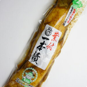 Ђ@@ tt@{ЗL@엿gp@YgpyRCPzyyVBOXΏۏizyRrjΉiz TCYɑ̃ocL܂B