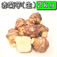 【条件付き送料無料】今話題の菊芋 2kg （北海道産 遠別産 無農薬 化学肥料不使用 生 土付き 赤菊芋 健康…