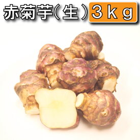 楽天市場 キクイモ 生の通販 楽天市場 キクイモ 生の通販