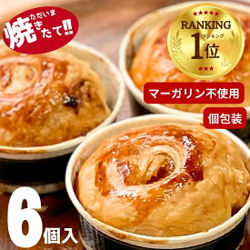 ランキング1位 あす楽 ただいま焼きたて 【マーガリン不使用】 本格！ アップルパイ 6個入 個包装 りんご リンゴ 送料無料 子供 こども 常温 日持ち 自宅 お買い物マラソン ポイント消化 誕生日 父の日 お試し