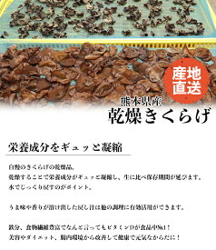 【 乾燥きくらげ 30g 】熊本県産 人吉 国産きのこ キノコ 乾燥きくらげ 生産者直送　野菜 旬 健康　美容　食物繊維　菌　免疫 中元　お中元　歳暮　お歳暮　贈り物 ヘルシー ビタミンD ダイエット ポイント消化