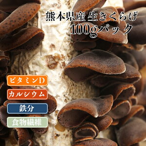 y 炰 100g zF{Y lg Ŷ LmR 炰 YҒ@ { N@e@H@ہ@ہ@Ɖu @@Ε@Ε@蕨 wV[ r^~D _CG