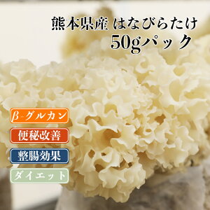 y͂Ȃт炽 50gz F{ lg Y ̂ LmR Y҉  { NHi ݂` H@  Ɖu r^~D _CGbg |Cg  Y [OJ   Ε 