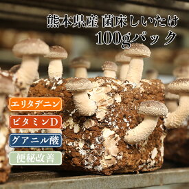 【菌床しいたけ 100g】 熊本県 人吉 国産 きのこ キノコ 生産者応援 野菜 旬 健康食品 グアニル酸 ダイエット ポイント消化 腸活 国産 エリタデニン 生活習慣病の予防効果 中元 お中元 歳暮 お歳暮