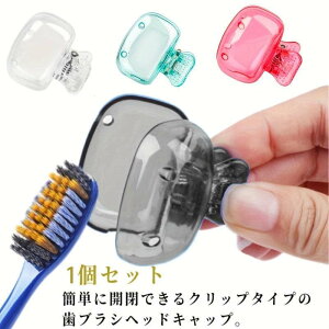 sɕ֗ȎuV[NbvwbhveN^[Lbv - vX`bNqJo[