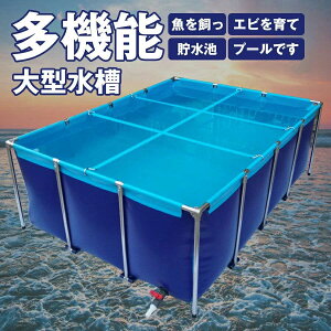 ^ `v[ ^{Bpv[ LoX̋̂r 傫 N^Ot[v[ ̗{r ܂肽ݔz uP