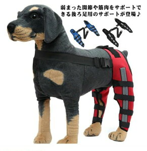 p  EZbg G ֐߃veN^[ p ֐߃veN^[ 둫 p G T|[^[ 㑫֐ߕی yA Œ T|[^[