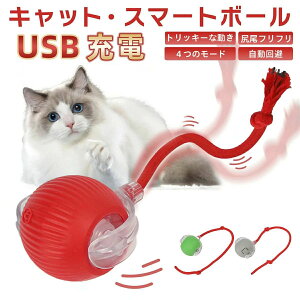 LbgX}[g{[ nCp[ L@@L̂@{[ lVс@ybĝ@USB[d^s@_CGbg 