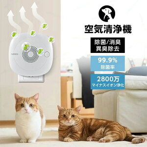 ybgL΍ EL@ ybg ybggC ybgL@ }CiXCI L  ybg gC ybgL ͏L ^EL@ ^C@ RpNg Nی ɂ₳ ybgL 