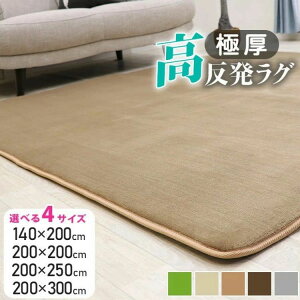 mIׂI4TCY5J[n O  5mm 200×300cm 200×250cm 200×200cm 140×200cm O  ~ O}bg J[ybg 3 zbgJ[ybgΉ rO O H ~