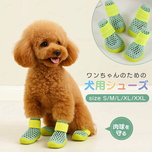 ybgV[Y ybgpC 4 U  C C  Ck   h~ Ώh~  PA pC ^  C T_ 炩 t  p  O hbOu[c y 