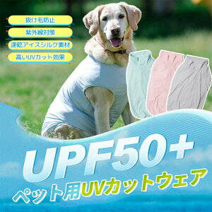  hbOEFA UVJbg UVF50+ 悯 Oh~ MǑ΍ ^Ngbv LkQ Ђ p  ʋC ^Ngbv xXg hbOEFA  y  ybg Eѕی 