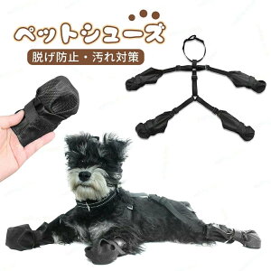 pbOJo[ ~ EȂ Ol{pc pV[Y  CV[Y ی ~ h~ o U h~ hbOu[c h~ rߖh~ ybgp 