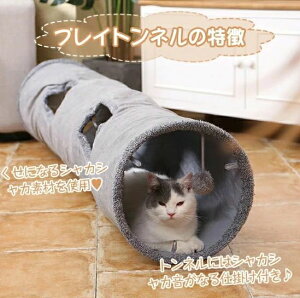 L  gl {[ L̂ XpC L炵 ybgpi  ˂ LbggC