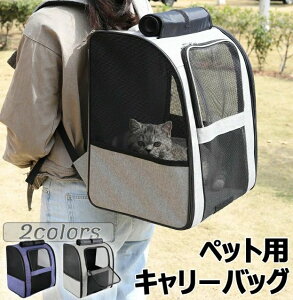 L[obO ybgL[ obO  L ܂肽 V_[  ^Lp ^ p bN ό`Ȃ ʋCQ LCȂ ~ɋ ԍ hCu Ls