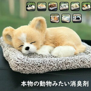 {݂̓ LY L  u p_ L im im imTCY imL  @C tHAfqh Ɨp ԗp