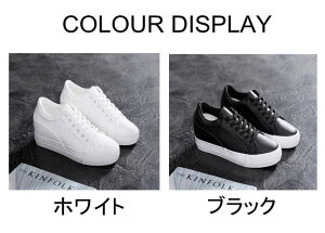 V[NbgV[Y fB[X Xj[J[ 7cmAbv  Cq[   tbgV[Y PUU[ y ʋC ~  傫TCY ʋ ʊw tďH