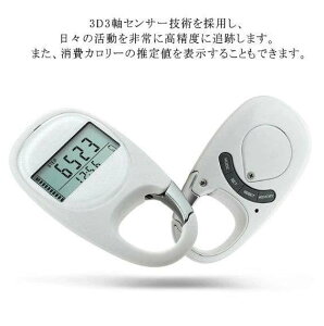 v v fW^v dqv |PbgEobOCv ^ J[  XebvJE^[ Nbvt mɕǐ ^ tbÑfUC ړ