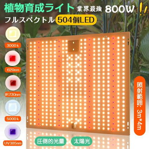 A琬Cg LED pl  A  Cg Px 504 tXyNg gF LEDA琬Cg k͔|Cg800W 2iK A琬pledpl ϗtA cCg i