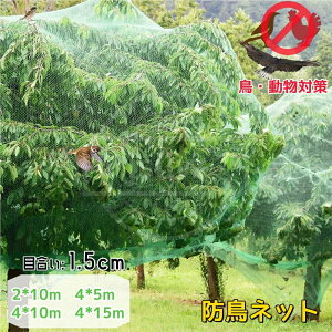 �h���l�b�g 2�� 4������ �ʕ��h���l�b�g �Ԗڍׂ����l�b�g �h�Q�l�b�g �_�ƃl�b�g �h���l�b�g �A���ی� �������| �h���΍� �����΍� �K�[�f���J�o�[ ���O �v�����g�J�o�[ ���� �_�� �_�� �h