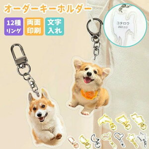 L[z_[ ʐ^ AN ybg ANL[z_[ I[_[Ch ʐ^   ʈ O 쐬  IWi 킢 Əj A LO L  