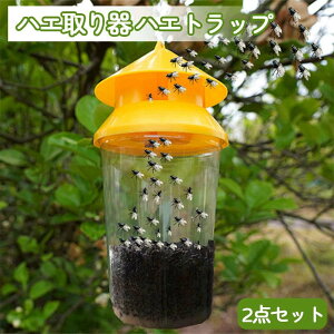 nG nGgbv 2_Zbg  OpnG nGgbvW[ nG쏜 OnGgbv qn ʎ [ _ 뉀 X { p ėp\